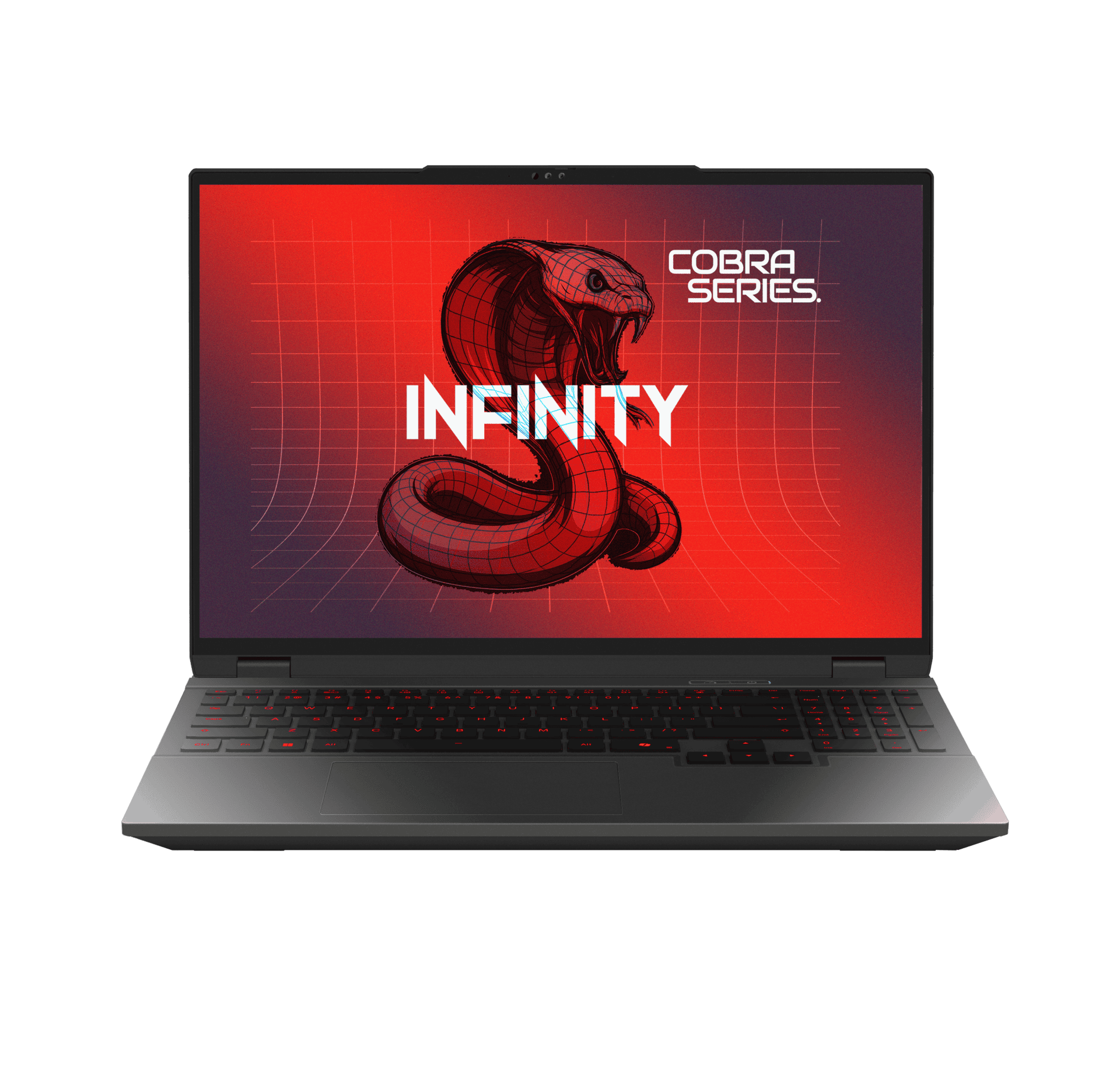 INFINITY COBRA 6 (WQXGA) GAMING NOTEBOOK (MODEL COBRA 6-DRAR9-899)