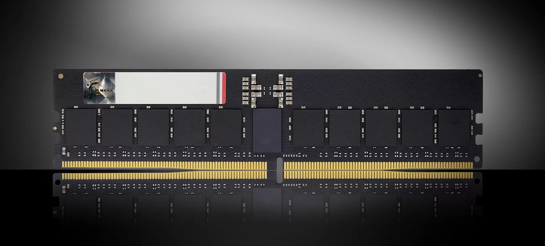 G.SKILL F5-5600R4645A48GX1-G5 48GB/ DDR5 5600 MT/s/ Timings 46-45-45-89/ Voltage 1.10V/Plug-and-Play ECC R-DIMM 5 YEARS WARRANTY
