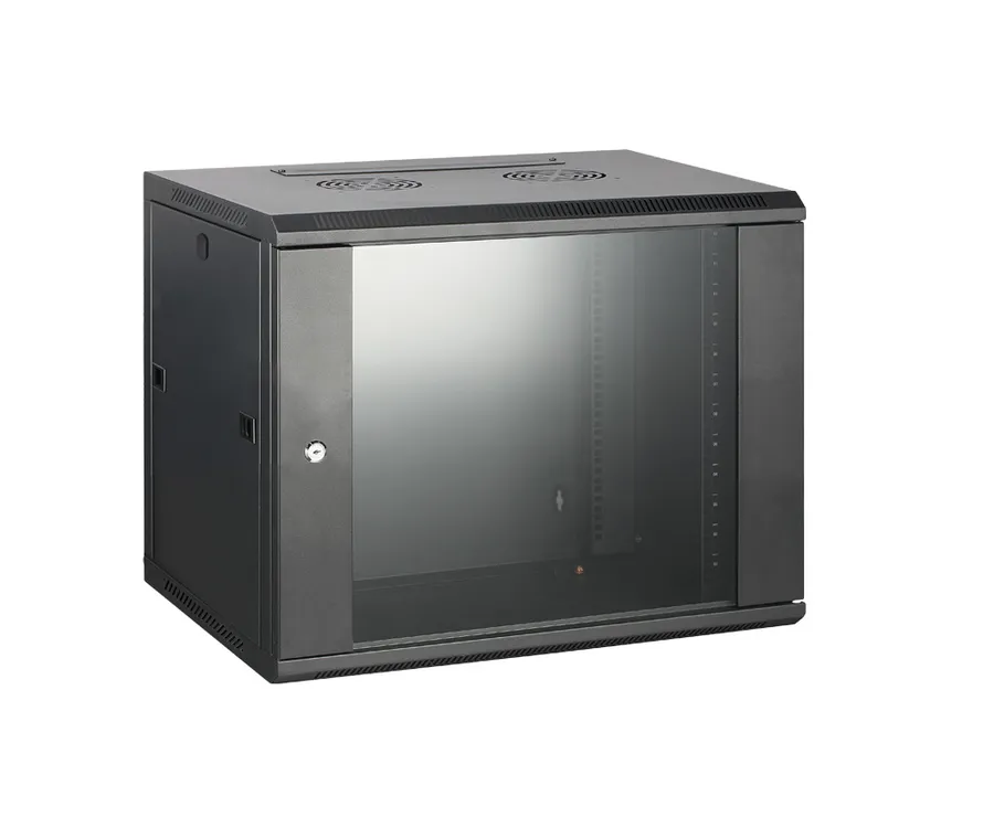 Wall Mount Enc 9RU 600W 600D 500H