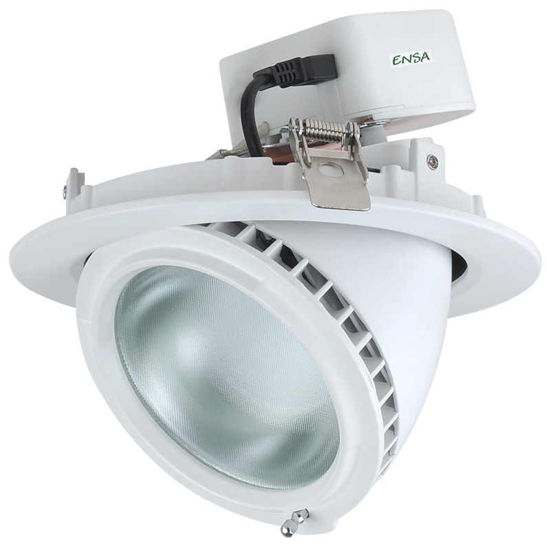 20W Premium Adjustable LED Downlight (5500K)