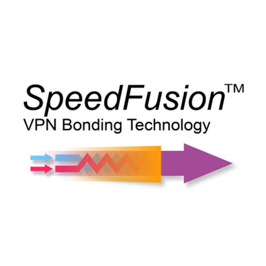 Peplink FHB-100-A FusionHub 100 (up to 100 Speedfusion Peers)