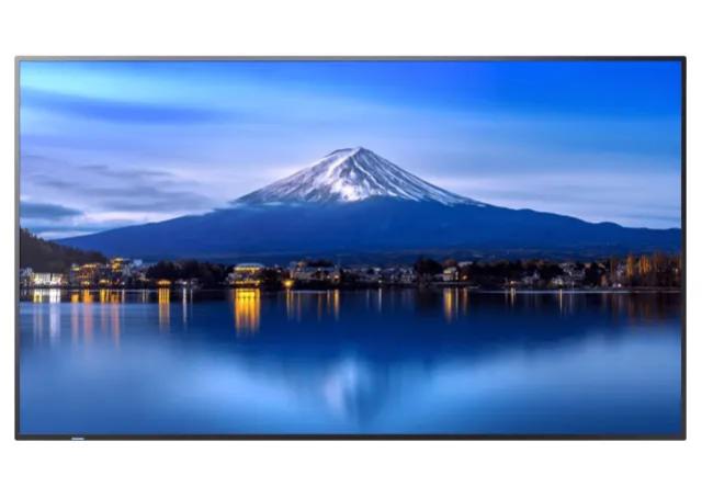 Sharp PN-P506 50" Large Display UHD
