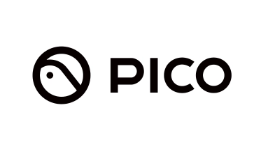 PICO Space Pro Enterprise（16GB+256GB)